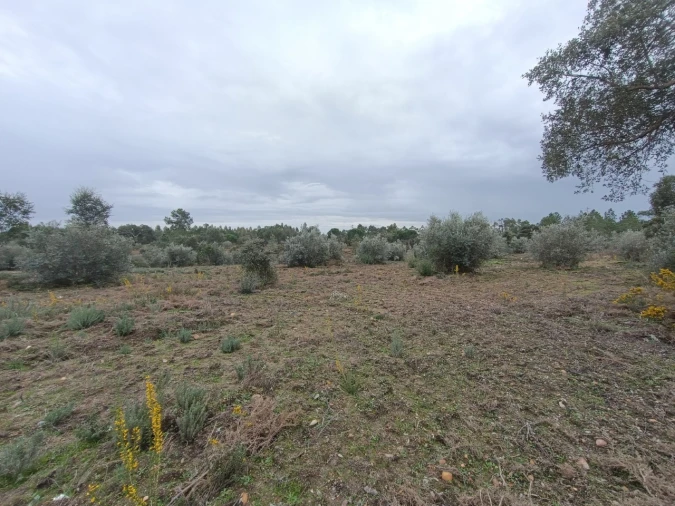 Quinta para Venda em Bemposta Foto 13