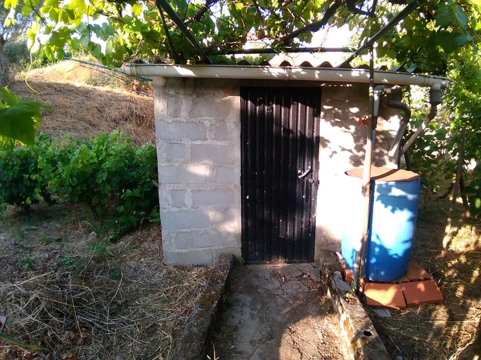 Terreno para Venda em Sardoal Foto 5