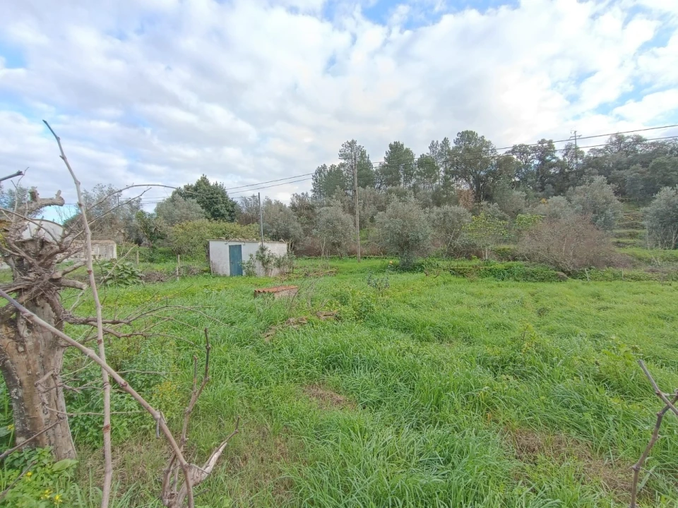 Terreno para Venda em Mouriscas Foto 3