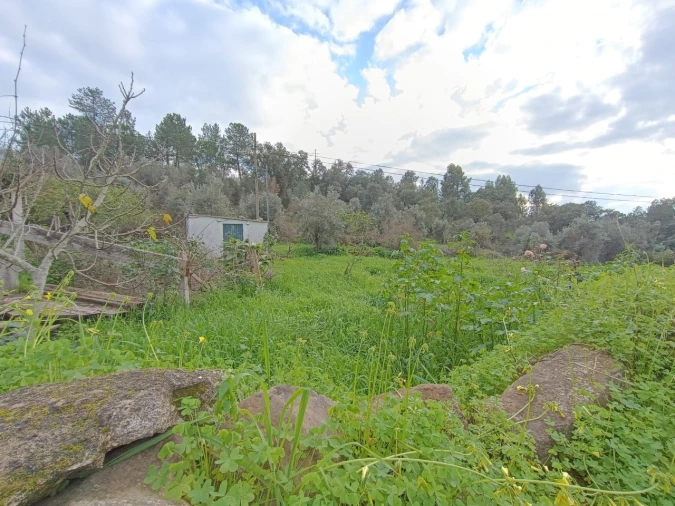 Terreno para Venda em Mouriscas