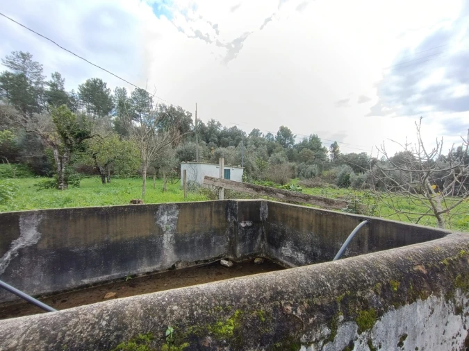 Terreno para Venda em Mouriscas Foto 2