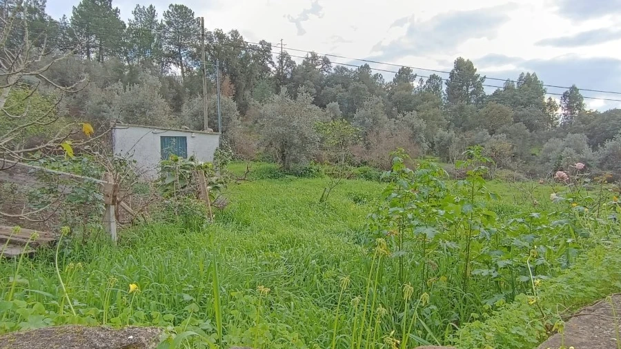 Terreno para Venda em Mouriscas