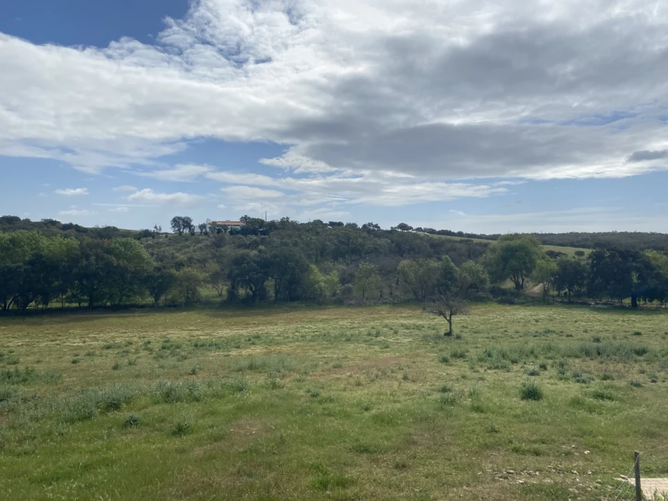 Quinta T5 para Venda em São Bento do Cortiço e Santo Estêvão Foto 4