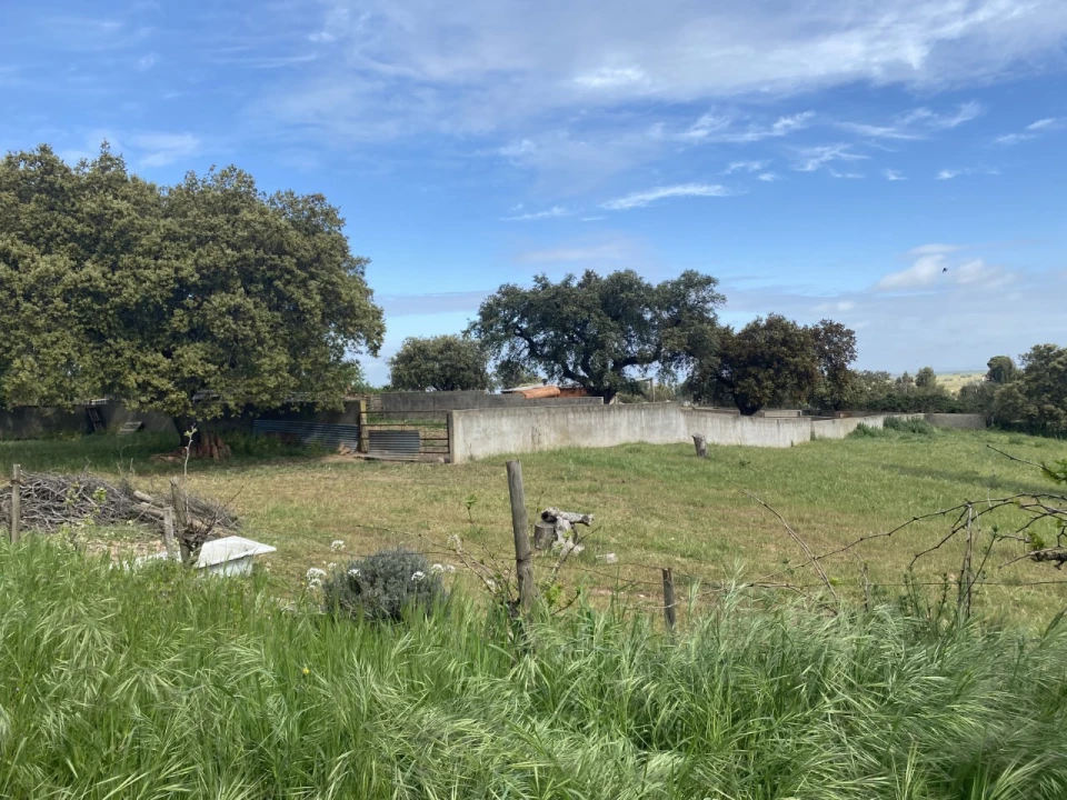 Quinta T5 para Venda em São Bento do Cortiço e Santo Estêvão Foto 5