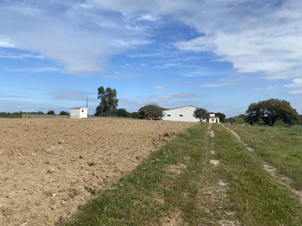 Quinta T5 para Venda em São Bento do Cortiço e Santo Estêvão Foto 15
