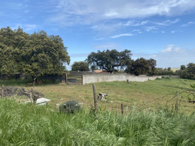 Quinta T5 para Venda em São Bento do Cortiço e Santo Estêvão Foto 5