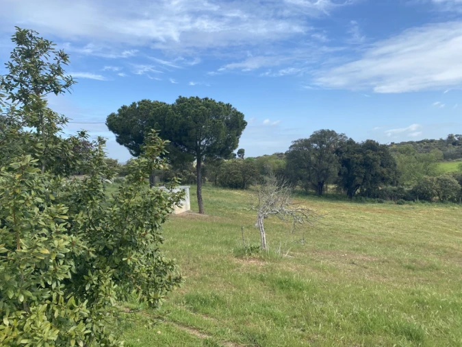 Quinta T5 para Venda em São Bento do Cortiço e Santo Estêvão Foto 8