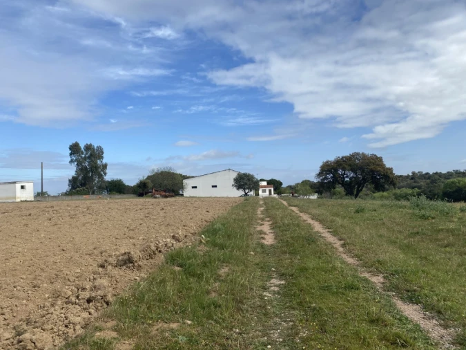 Quinta T5 para Venda em São Bento do Cortiço e Santo Estêvão Foto 13