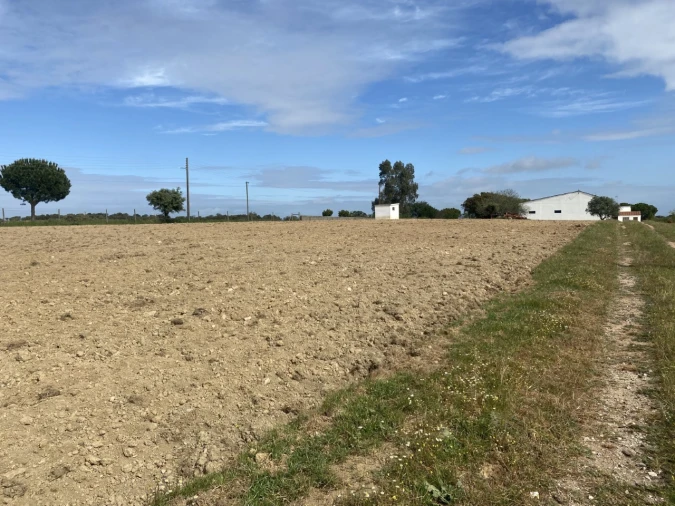 Quinta T5 para Venda em São Bento do Cortiço e Santo Estêvão Foto 16