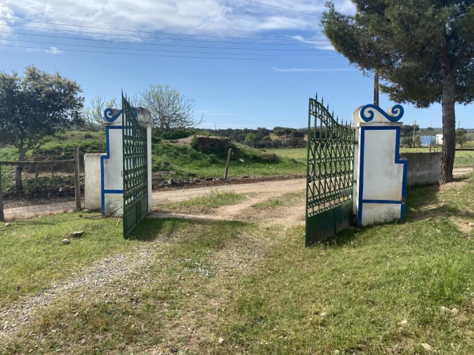 Quinta T5 para Venda em São Bento do Cortiço e Santo Estêvão Foto 17