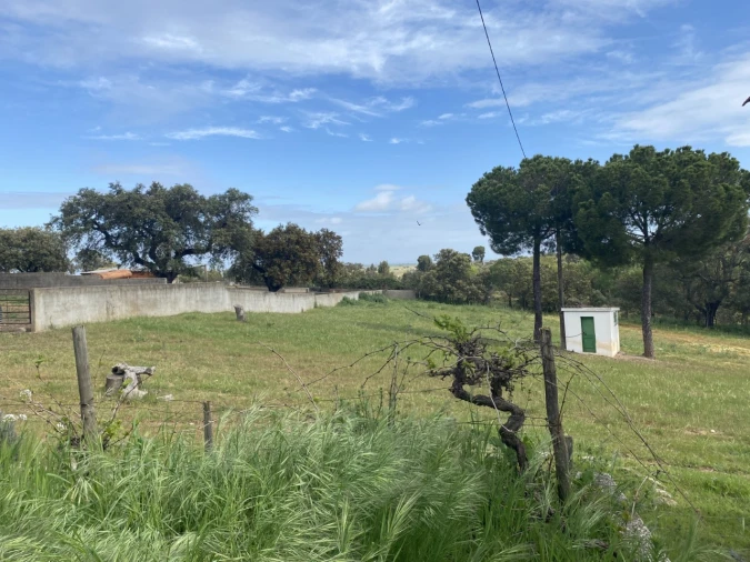 Quinta T5 para Venda em São Bento do Cortiço e Santo Estêvão Foto 29