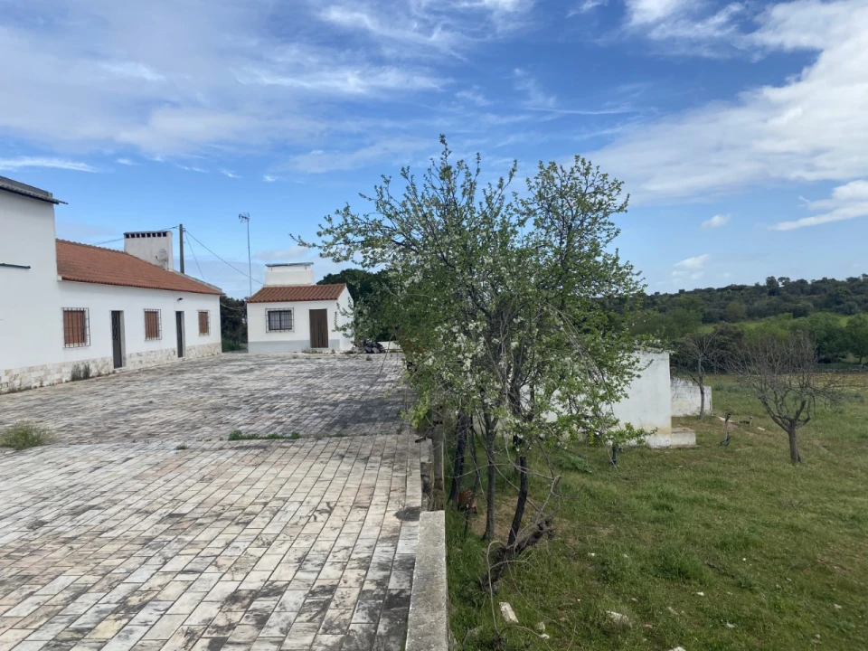 Quinta T5 para Venda em Sousel Foto 1