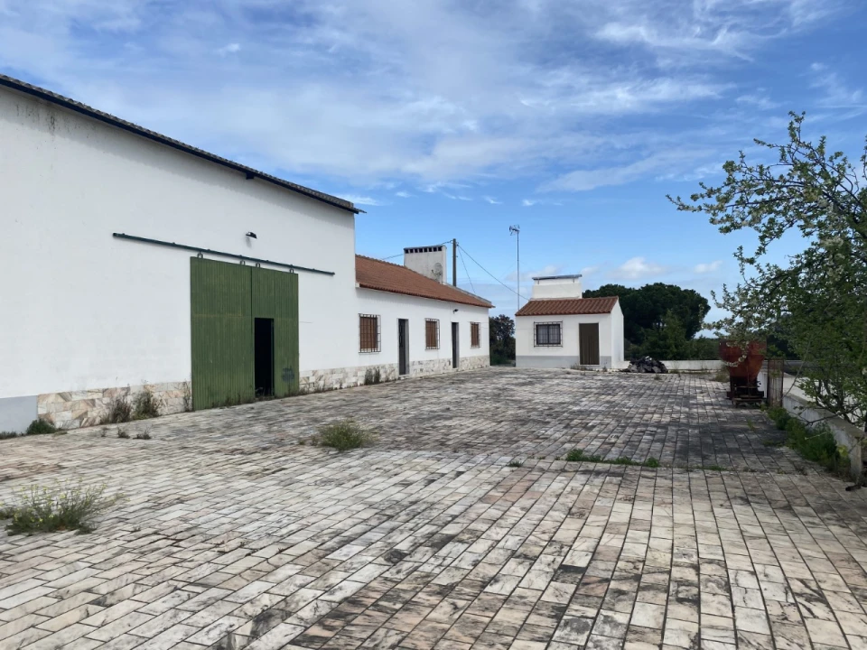 Quinta T5 para Venda em Sousel Foto 2