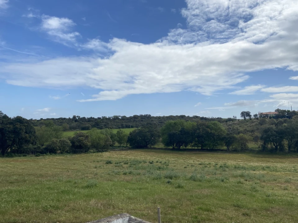 Quinta T5 para Venda em Sousel Foto 28