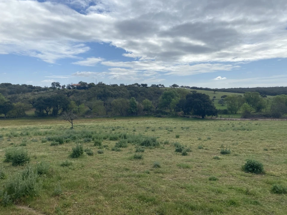 Quinta T5 para Venda em Sousel Foto 31