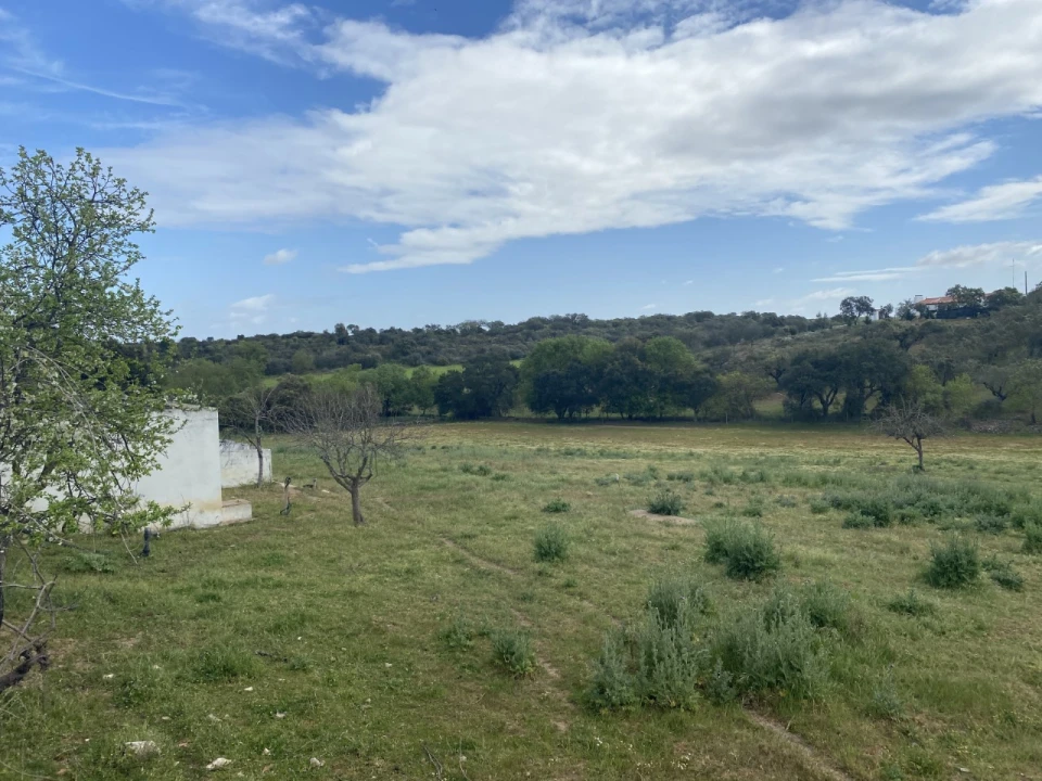 Quinta T5 para Venda em Sousel Foto 32