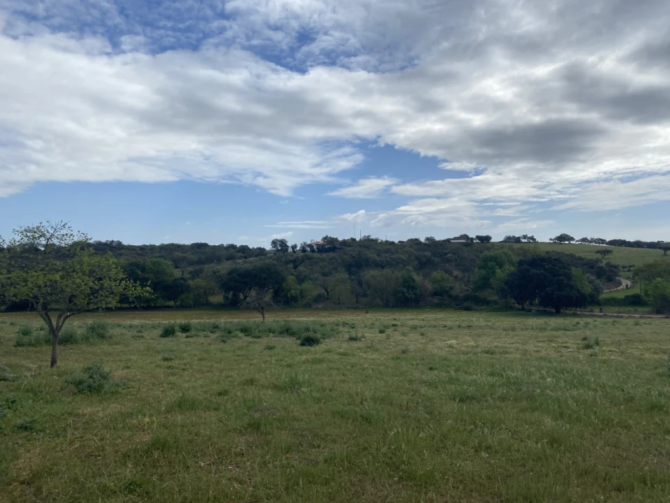 Quinta T5 para Venda em Sousel Foto 37