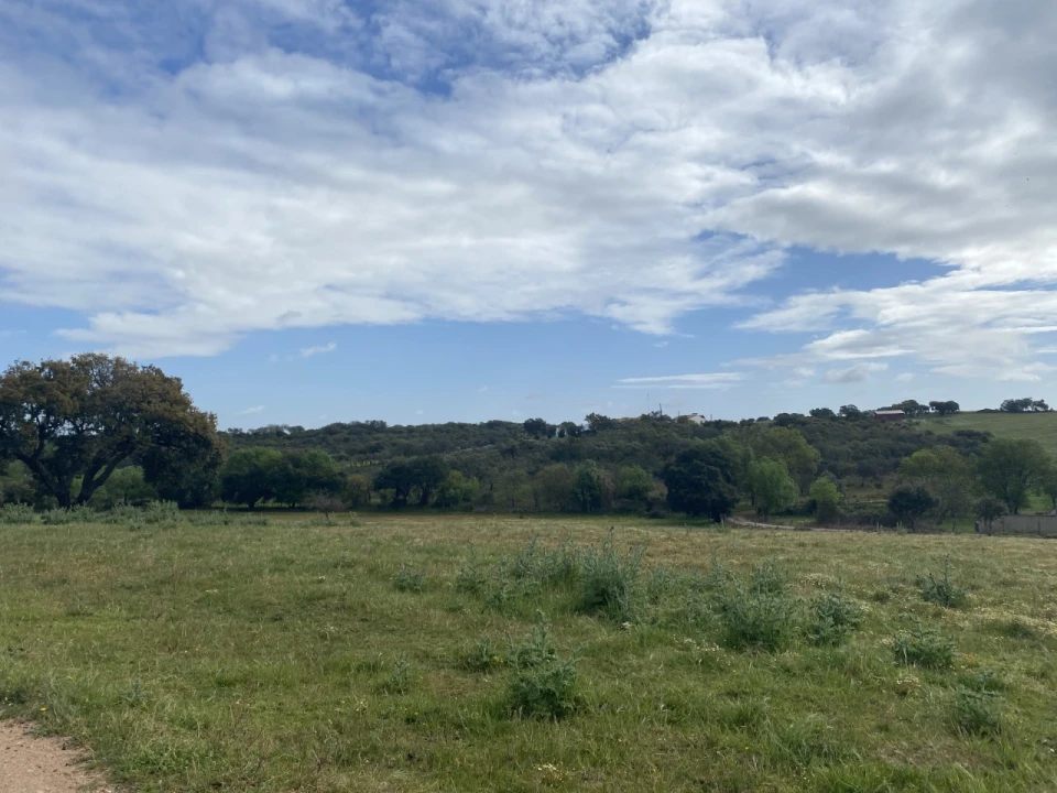 Quinta T5 para Venda em Sousel Foto 40