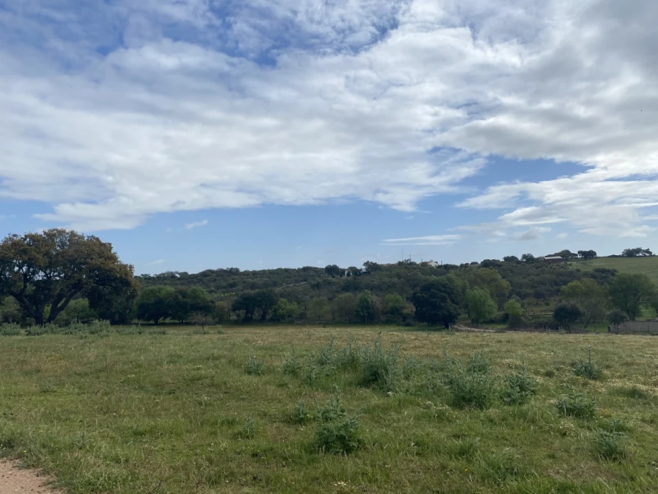 Quinta T5 para Venda em Sousel Foto 42