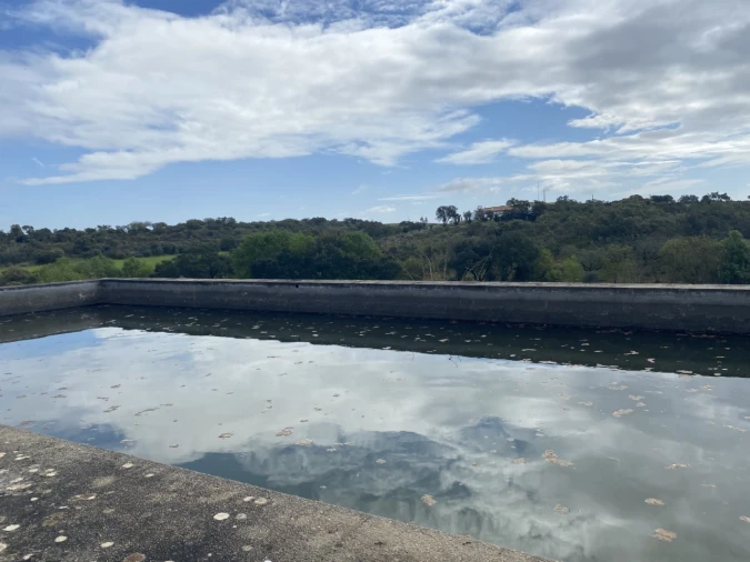 Quinta T5 para Venda em Sousel Foto 29