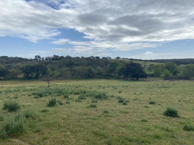 Quinta T5 para Venda em Sousel Foto 31