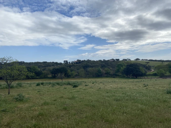 Quinta T5 para Venda em Sousel Foto 36