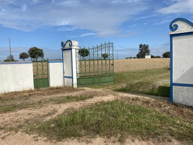 Quinta T5 para Venda em Sousel Foto 43