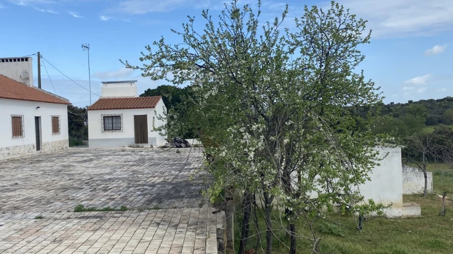 Quinta T5 para Venda em Sousel