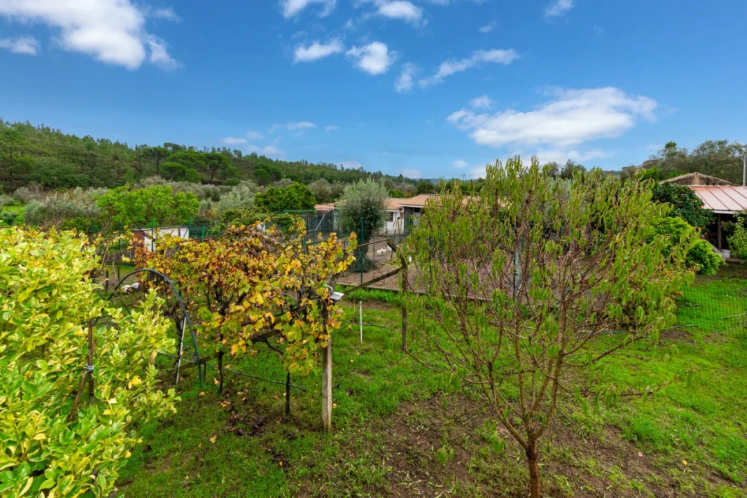 Quinta T5 para Venda em Abrantes (São Vicente e São João) e Alferrarede Foto 35