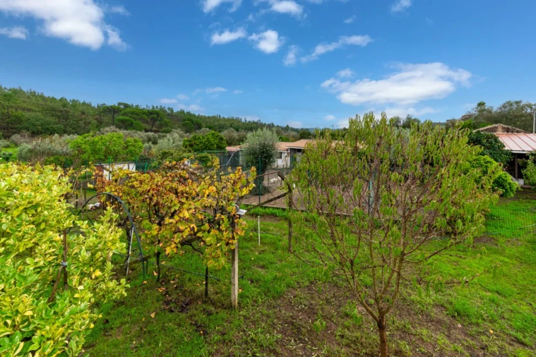 Quinta T5 para Venda em Abrantes (São Vicente e São João) e Alferrarede Foto 35