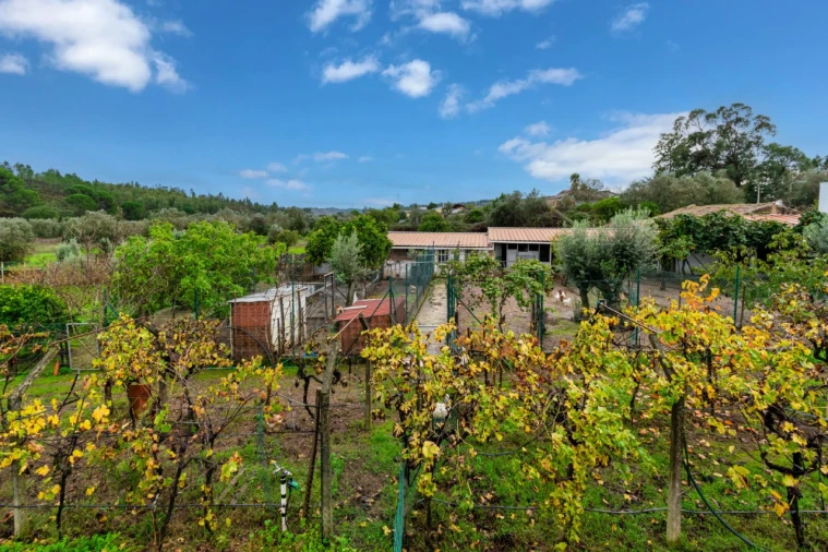 Quinta T5 para Venda em Abrantes (São Vicente e São João) e Alferrarede Foto 38