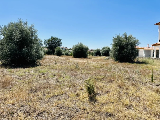 Terreno para Venda em São Miguel do Rio Torto e Rossio Ao Sul do Tejo Foto 6