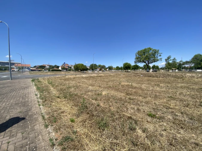 Terreno para Venda em Marvila, Ribeira Santarém, São Salvador, São Nicolau Foto 9