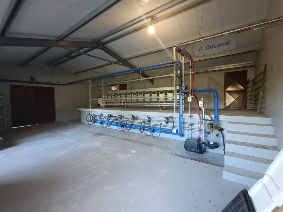 Armazém para Venda em Vila de Rei Foto 19