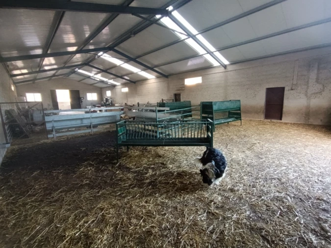 Armazém para Venda em Vila de Rei Foto 6