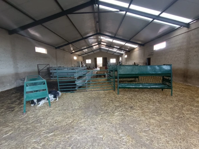 Armazém para Venda em Vila de Rei Foto 4