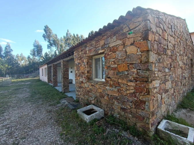 Armazém para Venda em Vila de Rei Foto 1