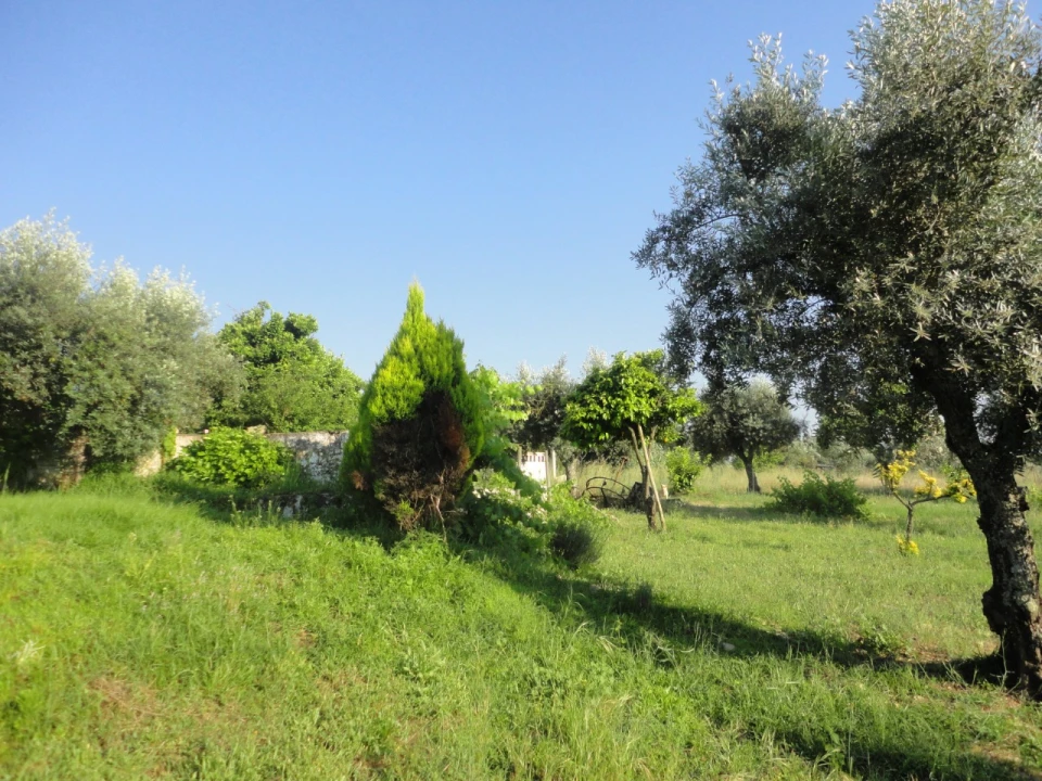 Terreno para Venda em Pego Foto 4