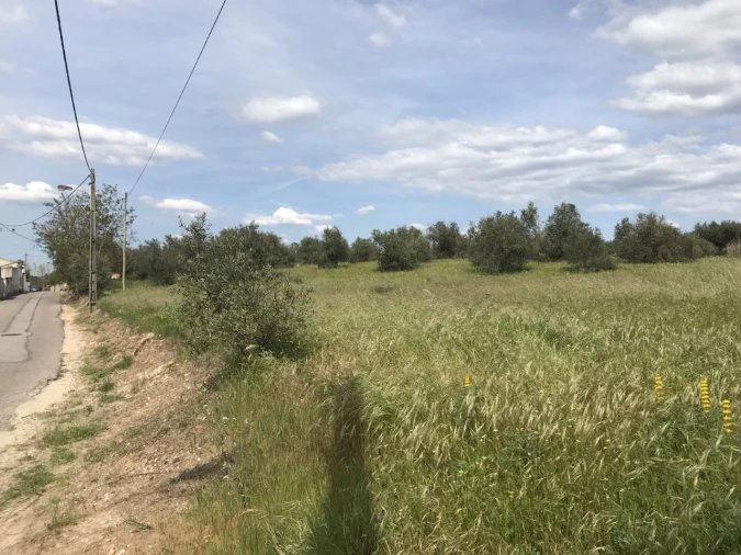 Terreno para Venda em Pego Foto 7