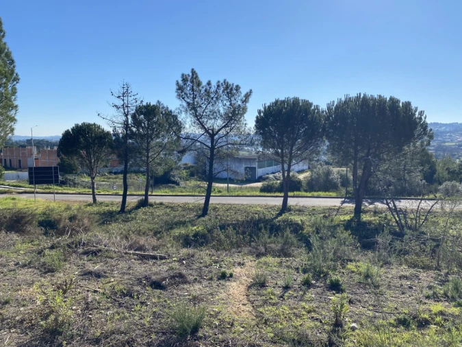 Terreno para Venda em Constancia Foto 11