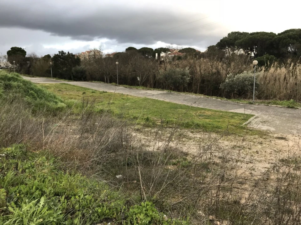 Terreno P/ Prédio para Venda em Abrantes (São Vicente e São João) e Alferrarede Foto 6