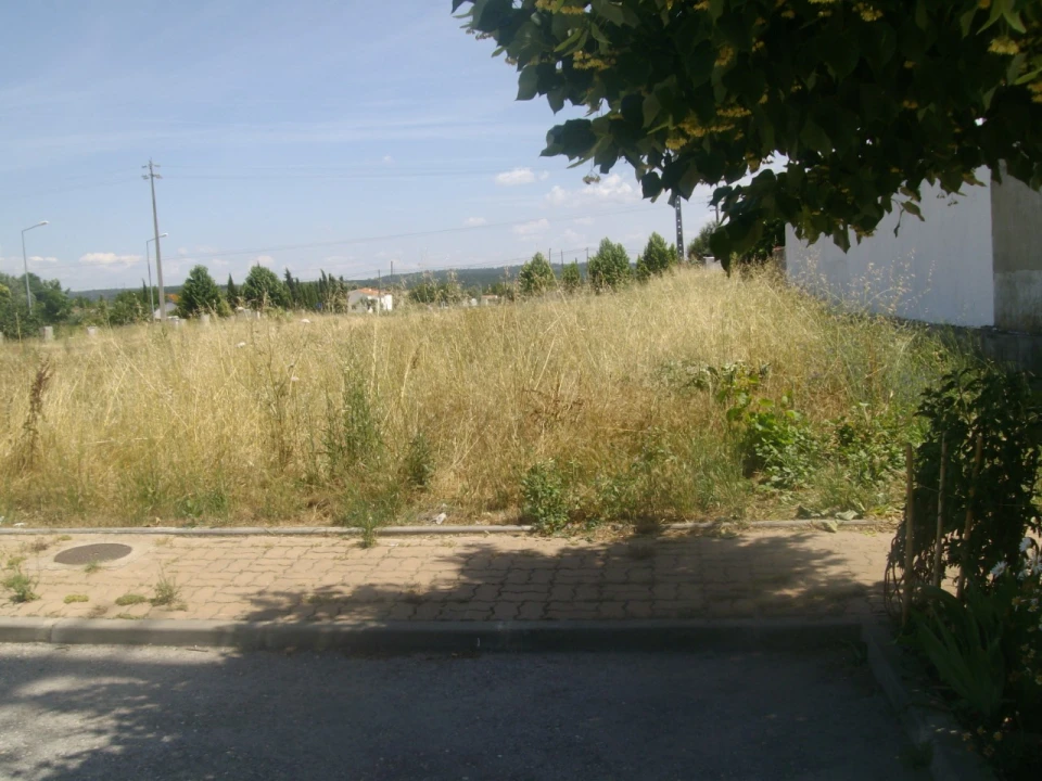 Terreno para Venda em São Miguel do Rio Torto e Rossio Ao Sul do Tejo Foto 4