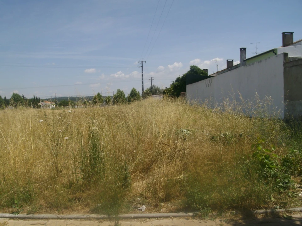 Terreno para Venda em São Miguel do Rio Torto e Rossio Ao Sul do Tejo Foto 6