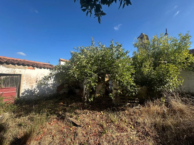 Moradia T3 para Venda em Pego Foto 17