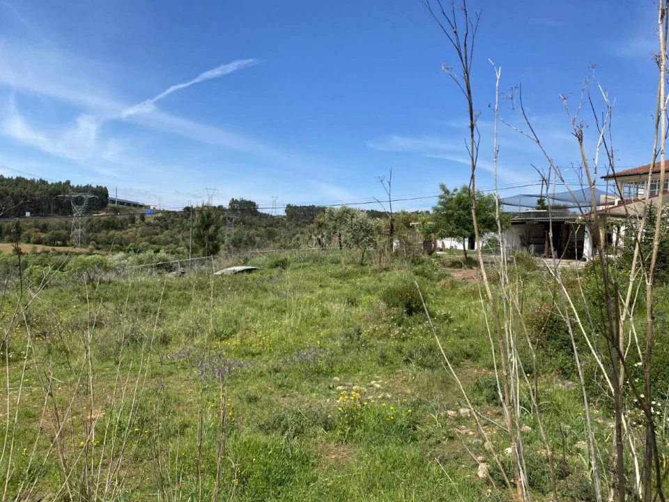 Terreno para Venda em Abrantes (São Vicente e São João) e Alferrarede Foto 6