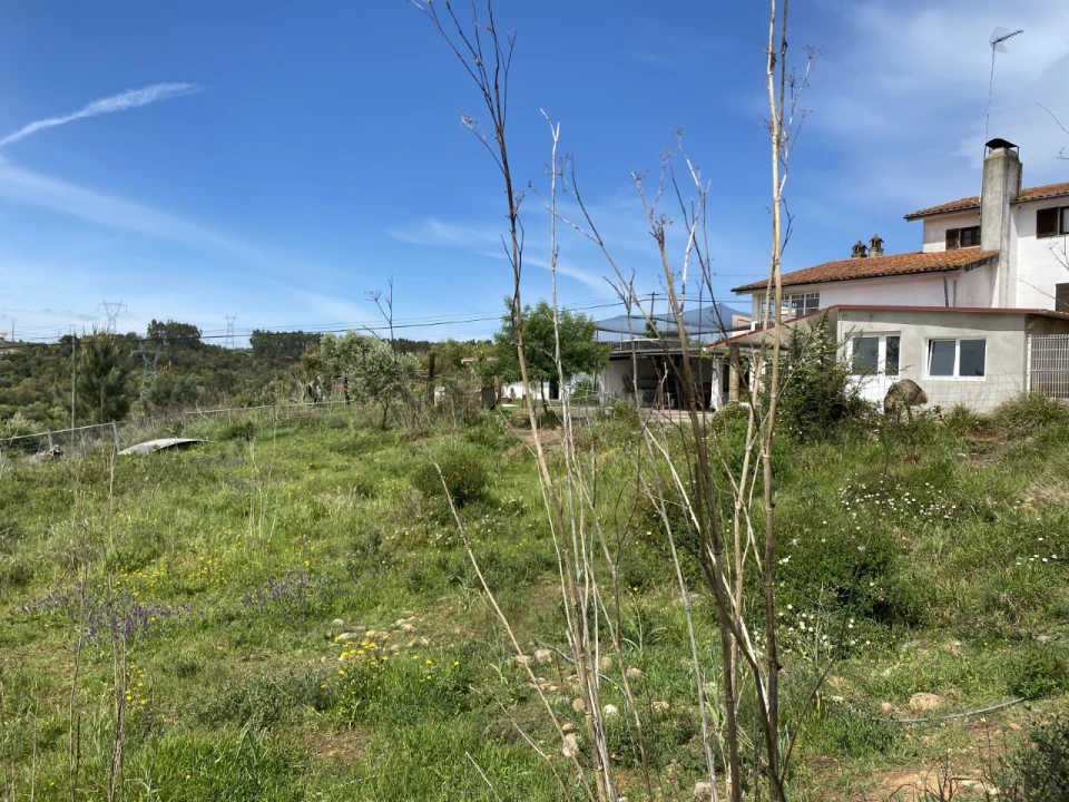 Terreno para Venda em Abrantes (São Vicente e São João) e Alferrarede Foto 7