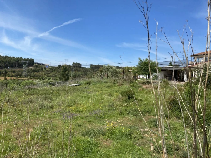 Terreno para Venda em Abrantes (São Vicente e São João) e Alferrarede Foto 6