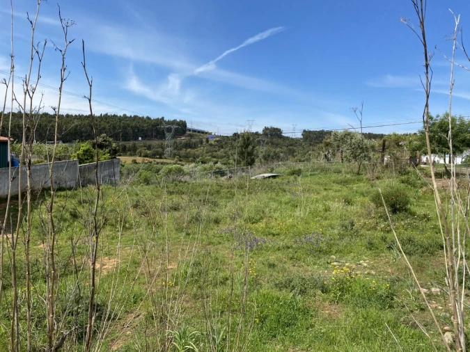 Terreno para Venda em Abrantes (São Vicente e São João) e Alferrarede Foto 8