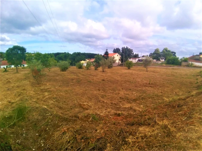 Terreno para Venda em São Pedro de Tomar Foto 1