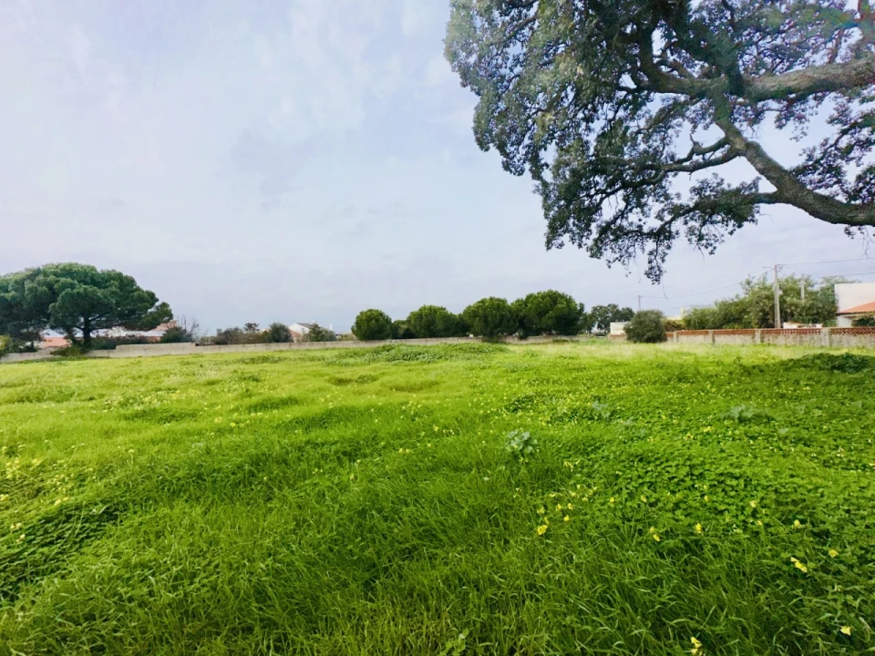 Quinta para Venda em São Miguel do Rio Torto e Rossio Ao Sul do Tejo Foto 32